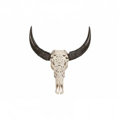BUFFALO SKULL WITH CARVING UNIQUE PIECES 